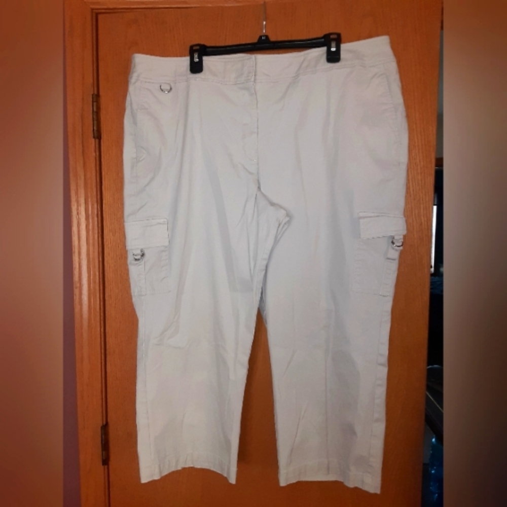 Womens size 24. Venezia beige capris